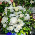 Affordable and Elegant Flowers in Kurraba Point