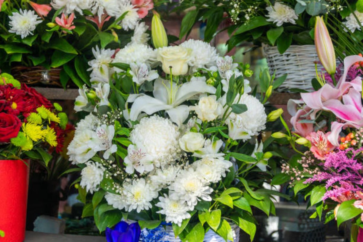 flower delivery kurraba point